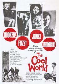 The cool world
