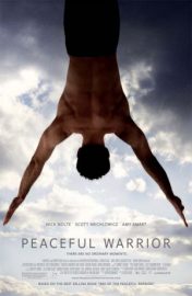 Peaceful warrior