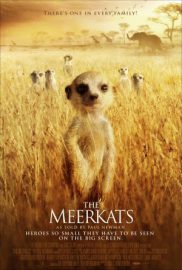 The meercats
