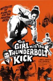 Le retour de l'hirondelle d'or - Jin yan zi