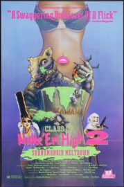 Class of Nuke 'Em High part II - Subhumanoid Meltdown