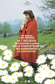De l'influence des rayons gamma sur le comportement des marguerites - The effect of gamma rays on man-in-the-moon marigolds