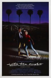 Série noire pour une nuit blanche - Into the night