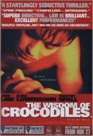 La sagesse des crocodiles - The wisdom of crocodiles