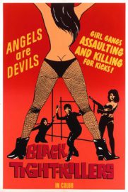 Les tueuses en collants noirs - Ore ni sawaru to abunaize