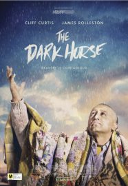The dark horse