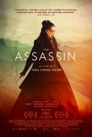 The assassin - Nie yin niang